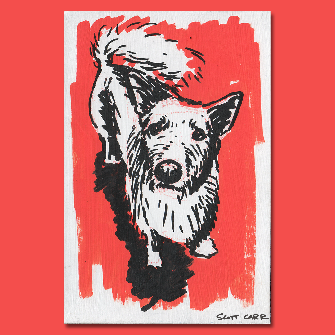 10 Minute Sloppy Pet Portraits