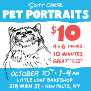 10 Minute Sloppy Pet Portraits