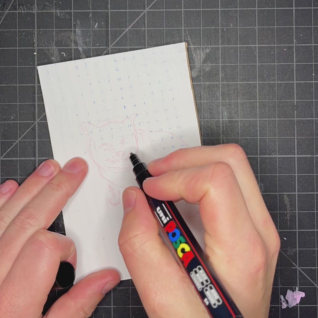 Load video: 10 Minute Sloppy Pet Portraits